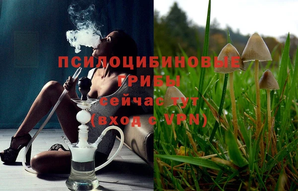 спиды Волосово