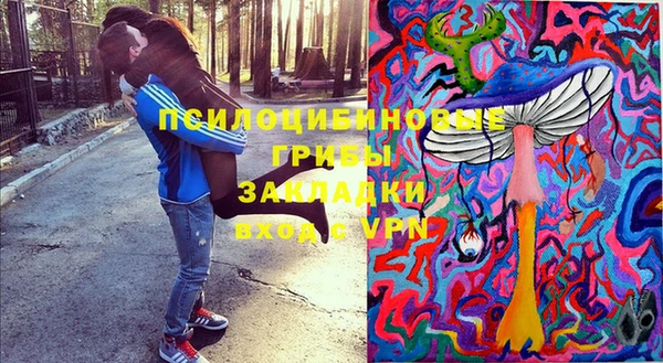 спиды Волосово