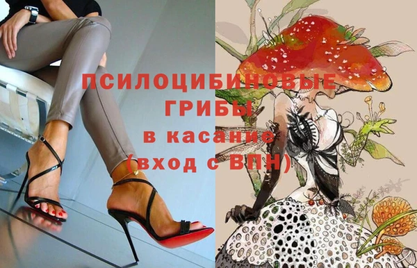 ПСИЛОЦИБИНОВЫЕ ГРИБЫ Верхний Тагил