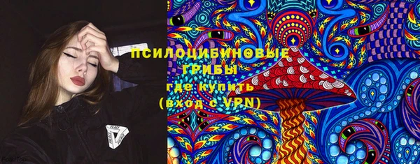 ПСИЛОЦИБИНОВЫЕ ГРИБЫ Верхний Тагил